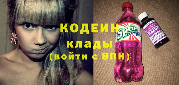 дурь Карпинск