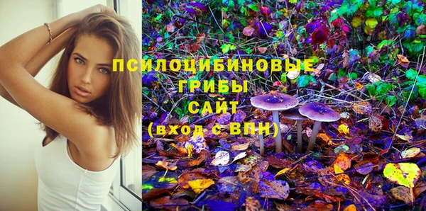 дурь Карпинск