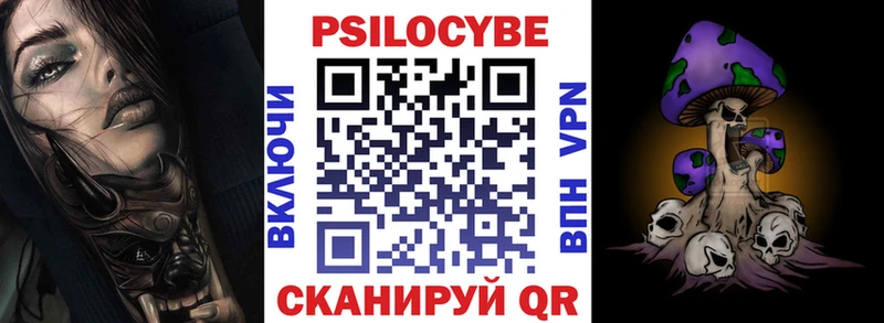 Купить где  Дальнегорск  Псилоцибиновые грибы Cubensis 